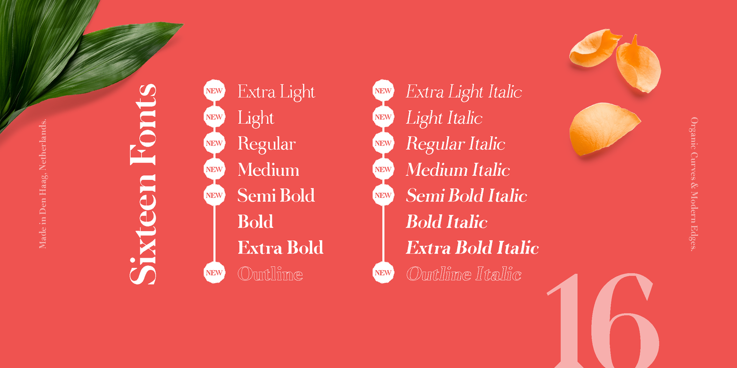Przykład czcionki Node Display Medium Italic